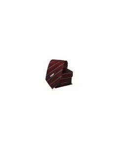 DTDC, Ties, Pack of 1